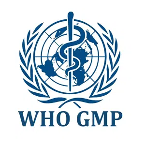 Logo Item